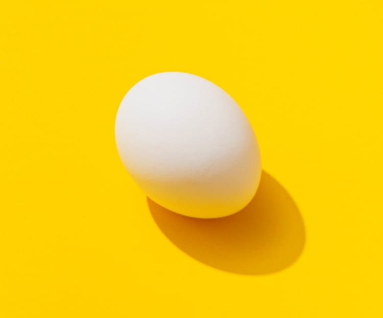 Photography of a egg